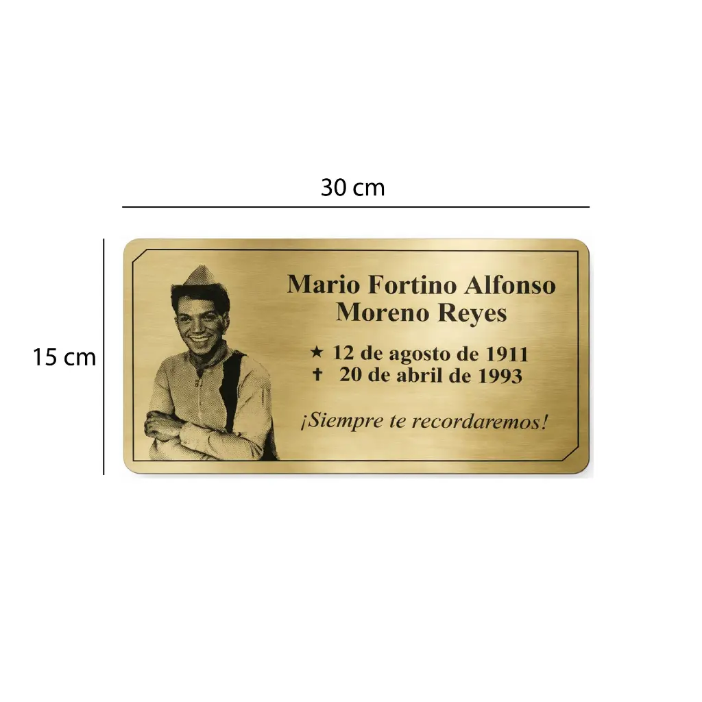 dorado-30x15cm-cota.webp