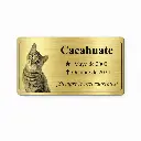 Placa Funeraria Para Mascota Con Foto 12x6 Cm